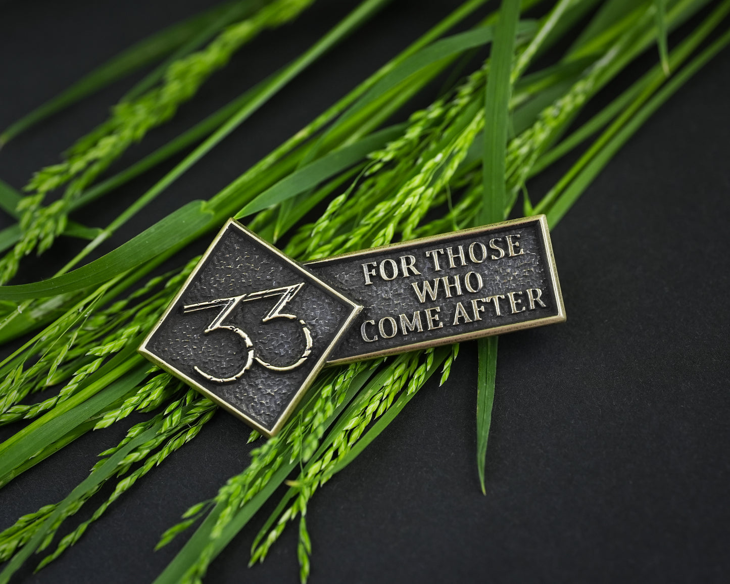 Expedition 33 Pin For those who come after quote - Brass Emblem Brooch Badge patch