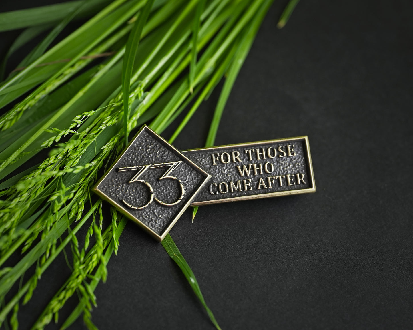 Expedition 33 Pin For those who come after quote - Brass Emblem Brooch Badge patch