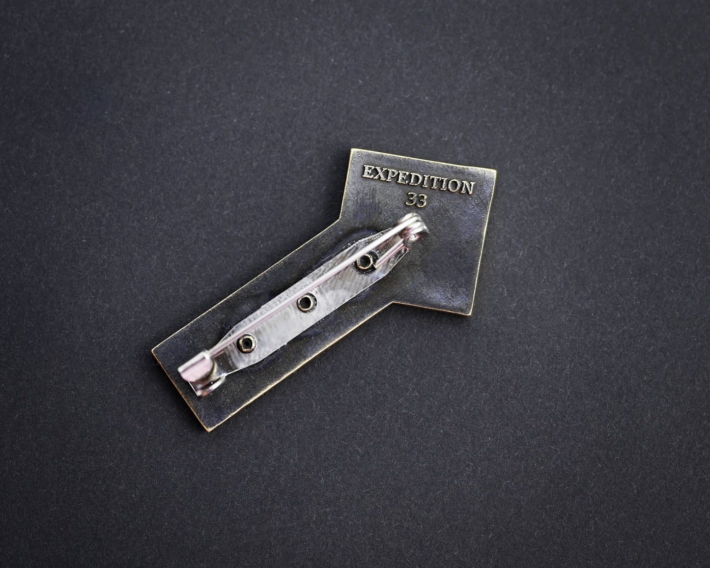 Expedition 33 Pin For those who come after quote - Brass Emblem Brooch Badge patch